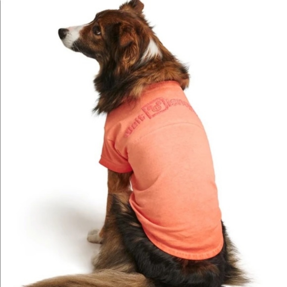 NWT Disney Parks Walt Disney World Dog Jersey